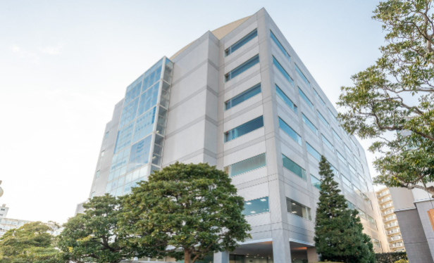 ZXY新浦安