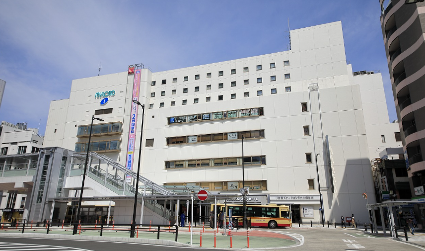 ZXY 本厚木