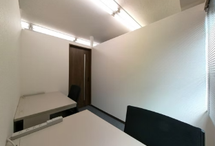 レグリンクプラス