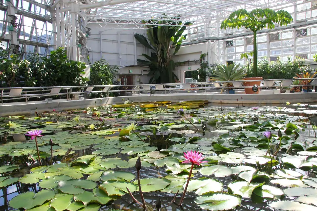 都立神代植物公園